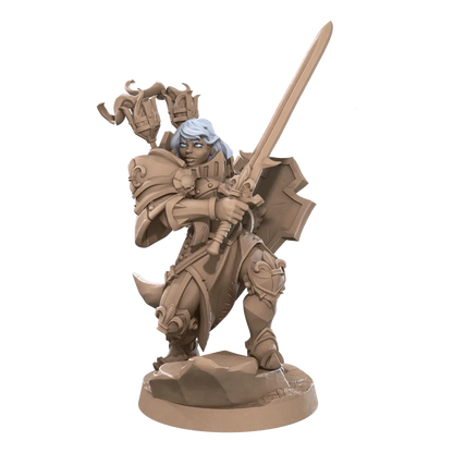 DnD Battle Sisters - Fighter - Human - Miniature - Paladin Cassandra 03 Battle Sisters - Fighter - Human - Miniature - Paladin sold by DoubleHitShop