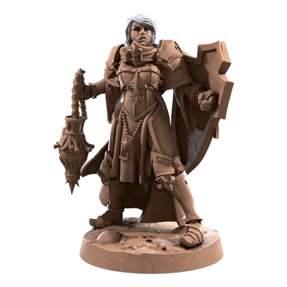 DnD Battle Sisters - Fighter - Human - Miniature - Paladin Seraphina  Battle Sisters - Fighter - Human - Miniature - Paladin sold by DoubleHitShop