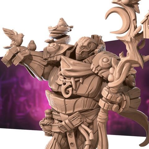 WARFORGED Druid